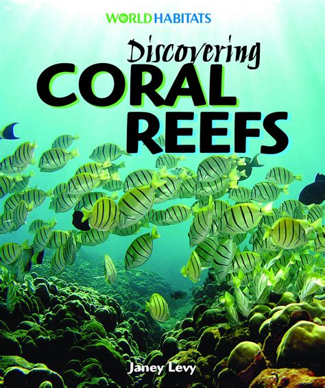 A Journey to the Coral Kingdom: Discovering the Magic of Reef Life